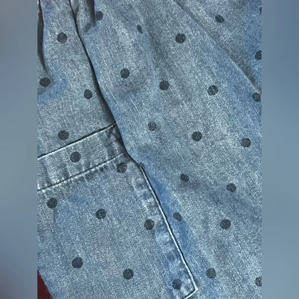 Hanna Andersson polka dots Chambray play dress